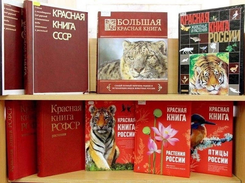 По страницам Красной книги России.